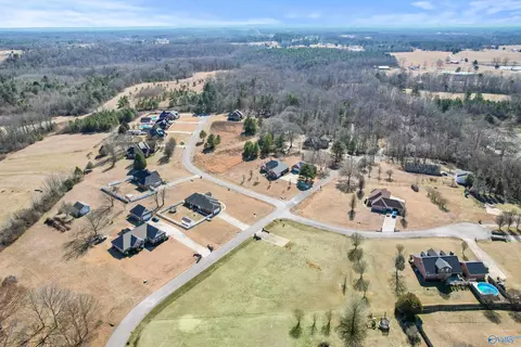 70 County Road 498, Trinity, AL 35673 photo 16