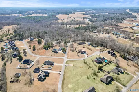 70 County Road 498, Trinity, AL 35673 photo 11