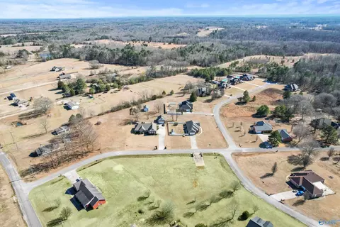 70 County Road 498, Trinity, AL 35673 photo 8