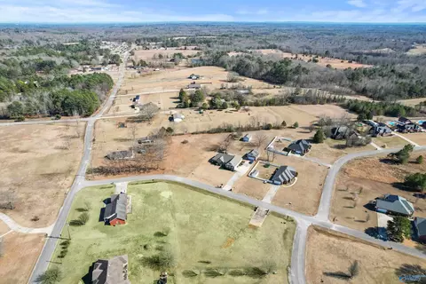 70 County Road 498, Trinity, AL 35673 photo 9