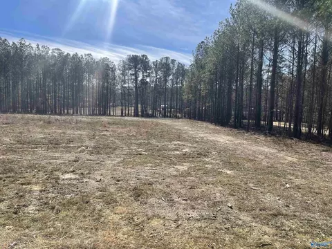 89 Golden Pond Rd, Ashville, AL 35953