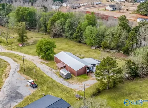 118 Long Dr, Danville, AL 35619
