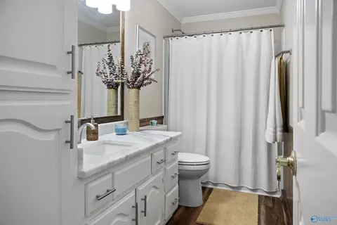 Bath - 197 Terry Ln, Trinity, AL 35673 photo 5 of 6