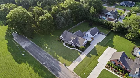View/Area - 197 Terry Ln, Trinity, AL 35673 photo 1 of 2