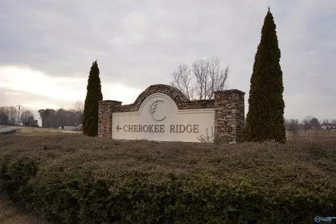 lot140 Emerald Pt, Cherokee Ridge, AL 35175