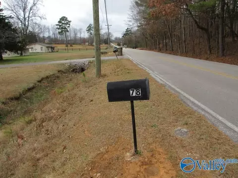 Other - 78 John Johnson Rd, Trinity, AL 35673 photo 4 of 5