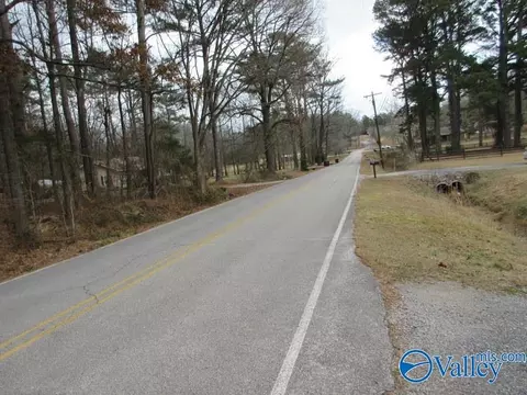 Other - 78 John Johnson Rd, Trinity, AL 35673 photo 5 of 5