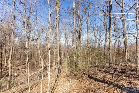 3709 Lookout Dr, Huntsville, AL 35801