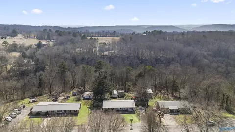 View/Area - 89 Bearden Dr, Grant, AL 35747 photo 3 of 3