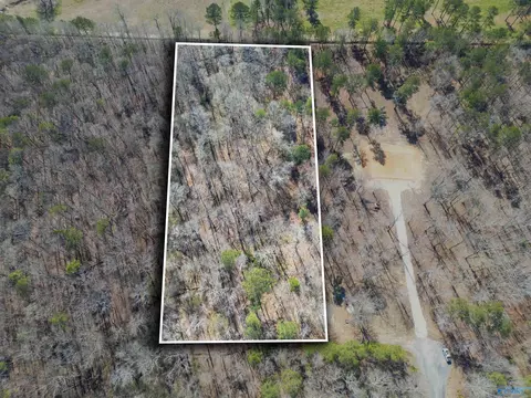 3 7 County Road 497, Centre, AL 35960