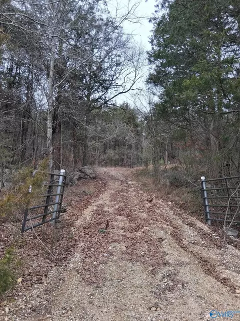 93 67 County Road 106, Trenton, AL 35774