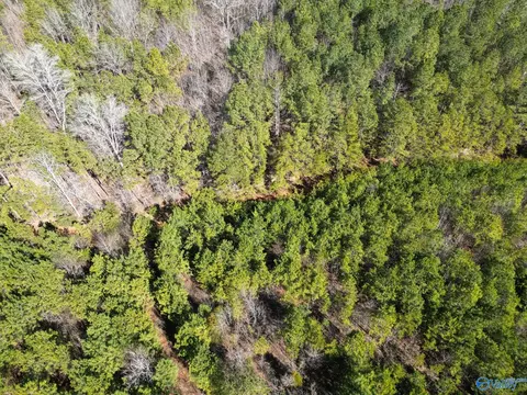 14 28 Acres Gault Ave, Fort Payne, AL 35967