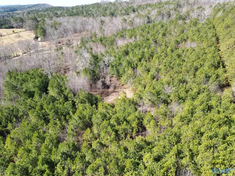1 90 Acres Gault Ave, Fort Payne, AL 35967