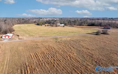 Other - 374 County Road 603, Section, AL 35771 photo 2 of 12