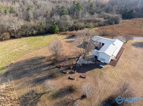 Other - 374 County Road 603, Section, AL 35771 photo 6 of 12