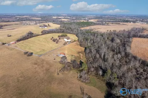 Other - 374 County Road 603, Section, AL 35771 photo 7 of 12