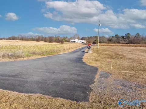 Exterior - 374 County Road 603, Section, AL 35771 photo 3 of 13