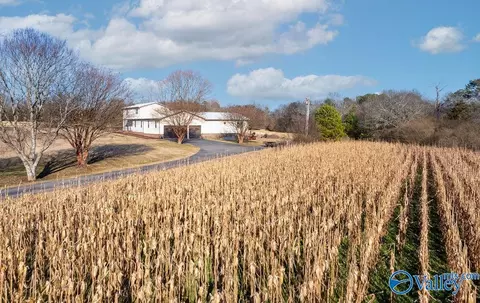 Exterior - 374 County Road 603, Section, AL 35771 photo 1 of 13