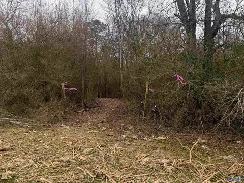 Other - 374 County Road 603, Section, AL 35771 photo 4 of 12