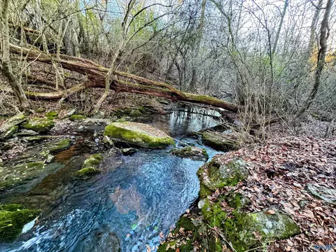 Other - 374 County Road 603, Section, AL 35771 photo 5 of 12