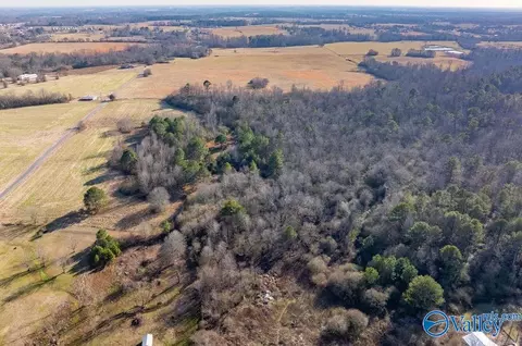 30 Acre County Road 603, Section, AL 35771 photo 8