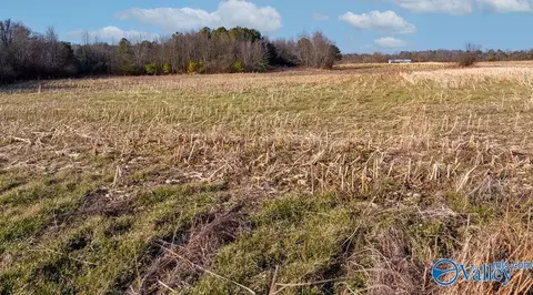 30 Acre County Road 603, Section, AL 35771 photo 10