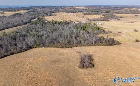 30 Acre County Road 603, Section, AL 35771 photo 6