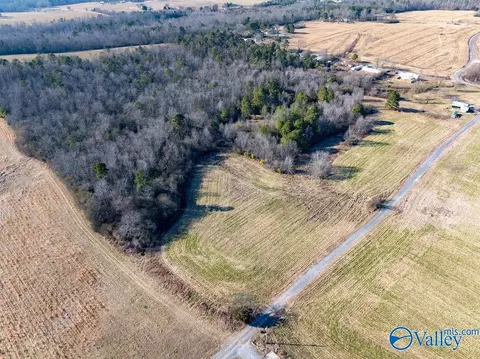 30 Acre County Road 603, Section, AL 35771 photo 7