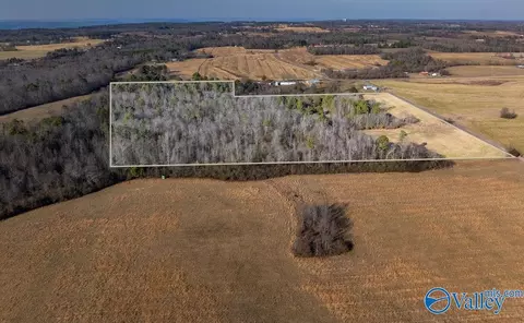 30 Acre County Road 603, Section, AL 35771 photo 4