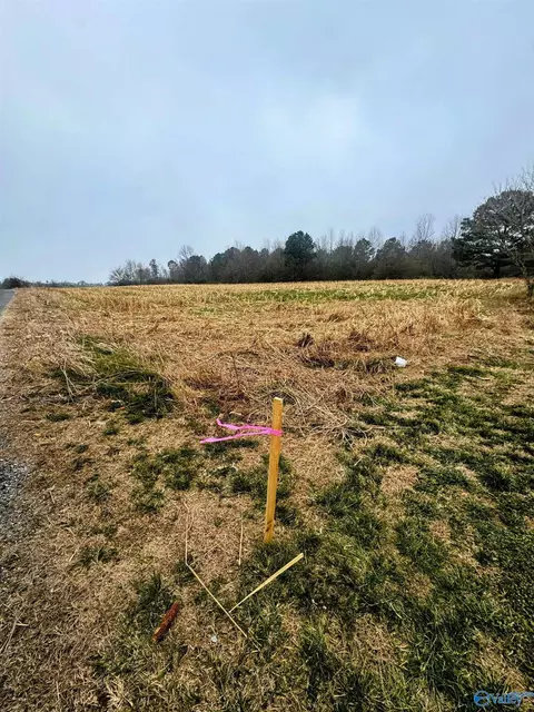 30 Acre County Road 603, Section, AL 35771 photo 3