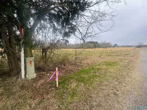 30 Acre County Road 603, Section, AL 35771
