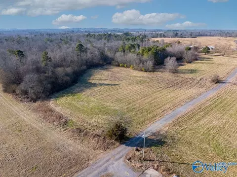 30 Acre County Road 603, Section, AL 35771 photo 5