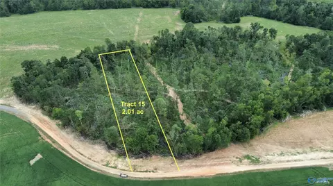 21394 Holland Rd, Athens, AL 35614