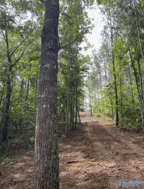 10 Acres Mountain Dr, Remlap, AL 35133