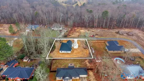 View/Area - 466 Chambers Rd, Arab, AL 35016 photo 1 of 1