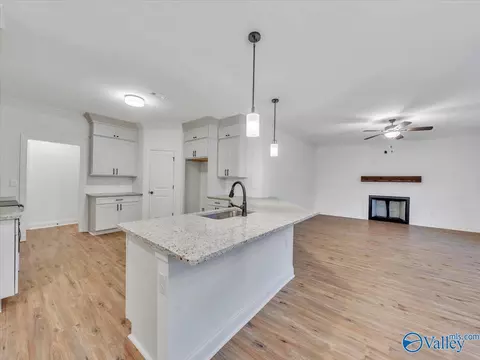 Other - 466 Chambers Rd, Arab, AL 35016 photo 1 of 9
