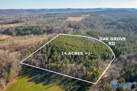 14 Acres - Oak Grove Rd, Attalla, AL 35954