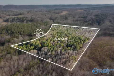 25 Acres - Oak Grove Rd, Attalla, AL 35954