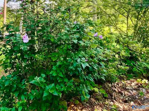 196 Space Rd, Bessemer, AL 35023