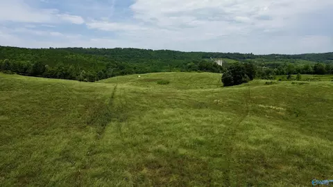 59 Acres Carnes Chapel Rd, Attalla, AL 35954