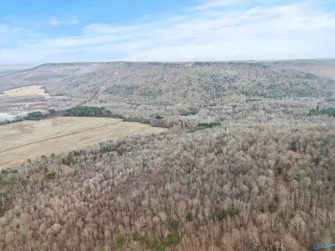 572 County Road 676 # B, Bryant, AL 35958