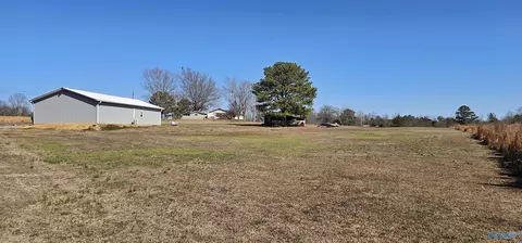 Other - 70 County Road 610, Section, AL 35771 photo 8 of 28