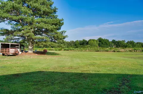 70 County Road 610, Section, AL 35771 photo 24