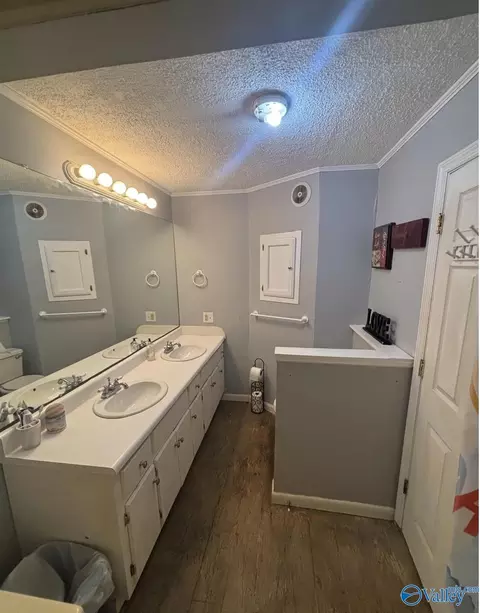 Bath - 2845 E Upper River Rd, Somerville, AL 35670 photo 1 of 1
