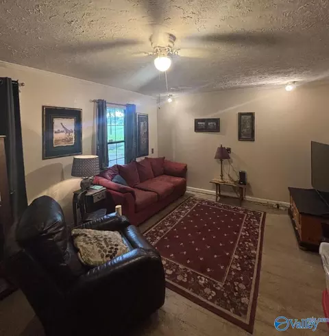 Living - 2845 E Upper River Rd, Somerville, AL 35670 photo 1 of 1