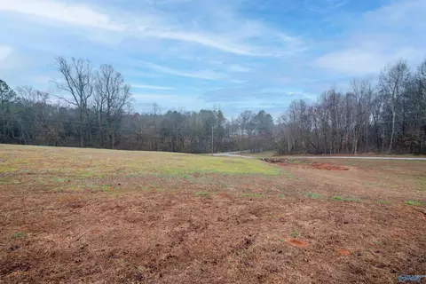 002 Witty Mill Rd, Elkmont, AL 35620