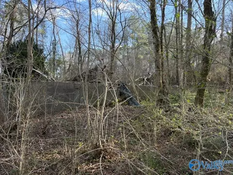 5288 Hwy 75, Albertville, AL 35950