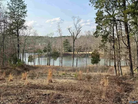 1 48 Acres River Cliff Dr, Gadsden, AL 35901