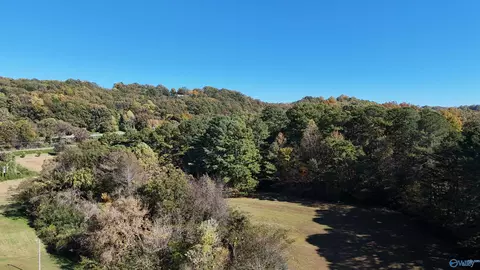 5503 Bodine Rd, Guntersville, AL 35976