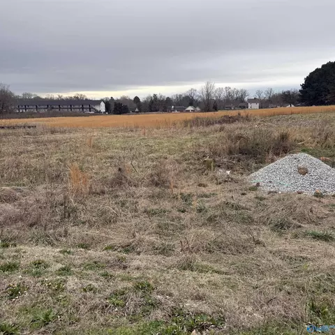 60 Green Rd, New Market, AL 35761